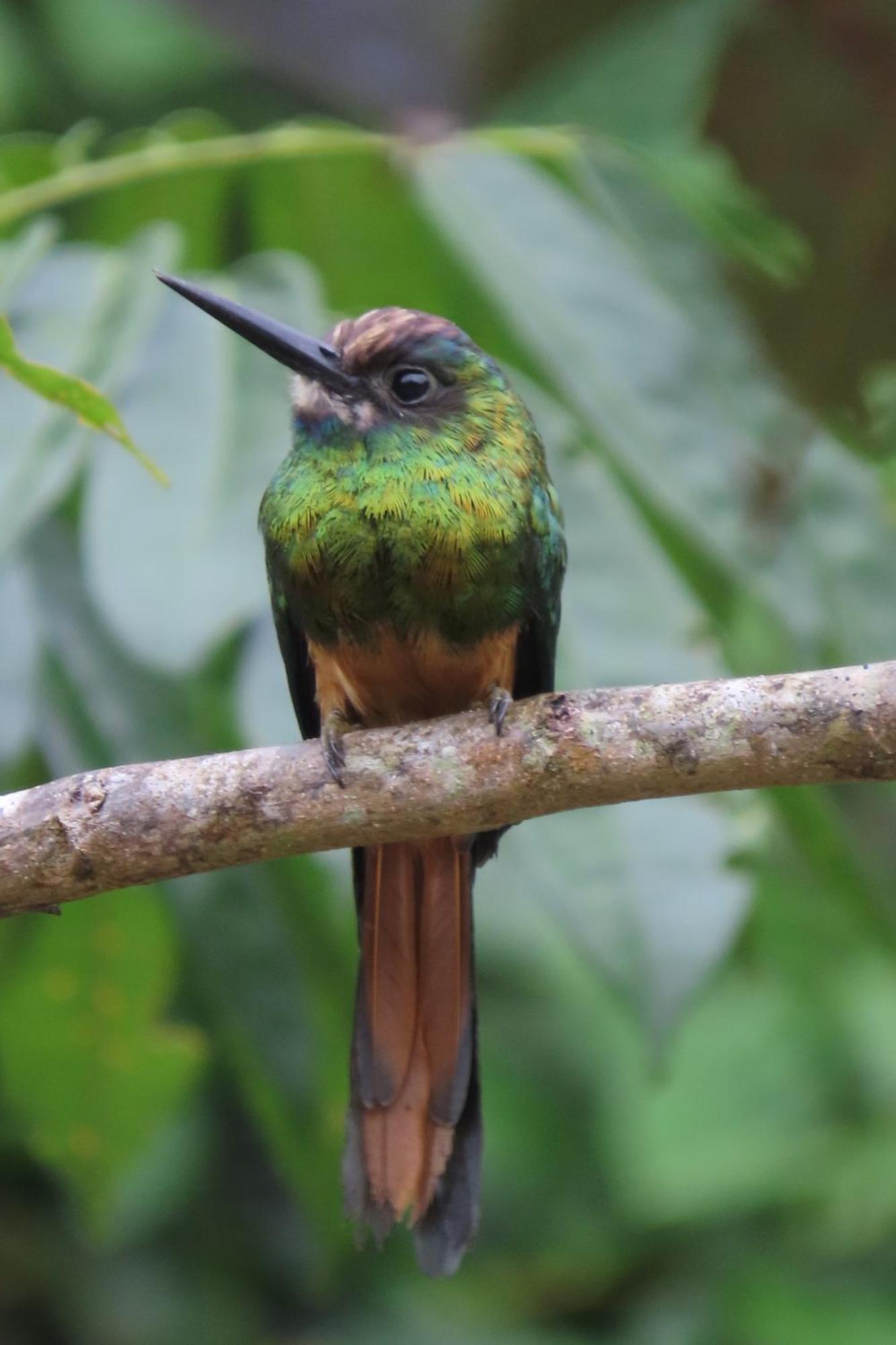 Hospedaje Y Tours Reina Arriera Amazonas Colombia Macedonia 外观 照片