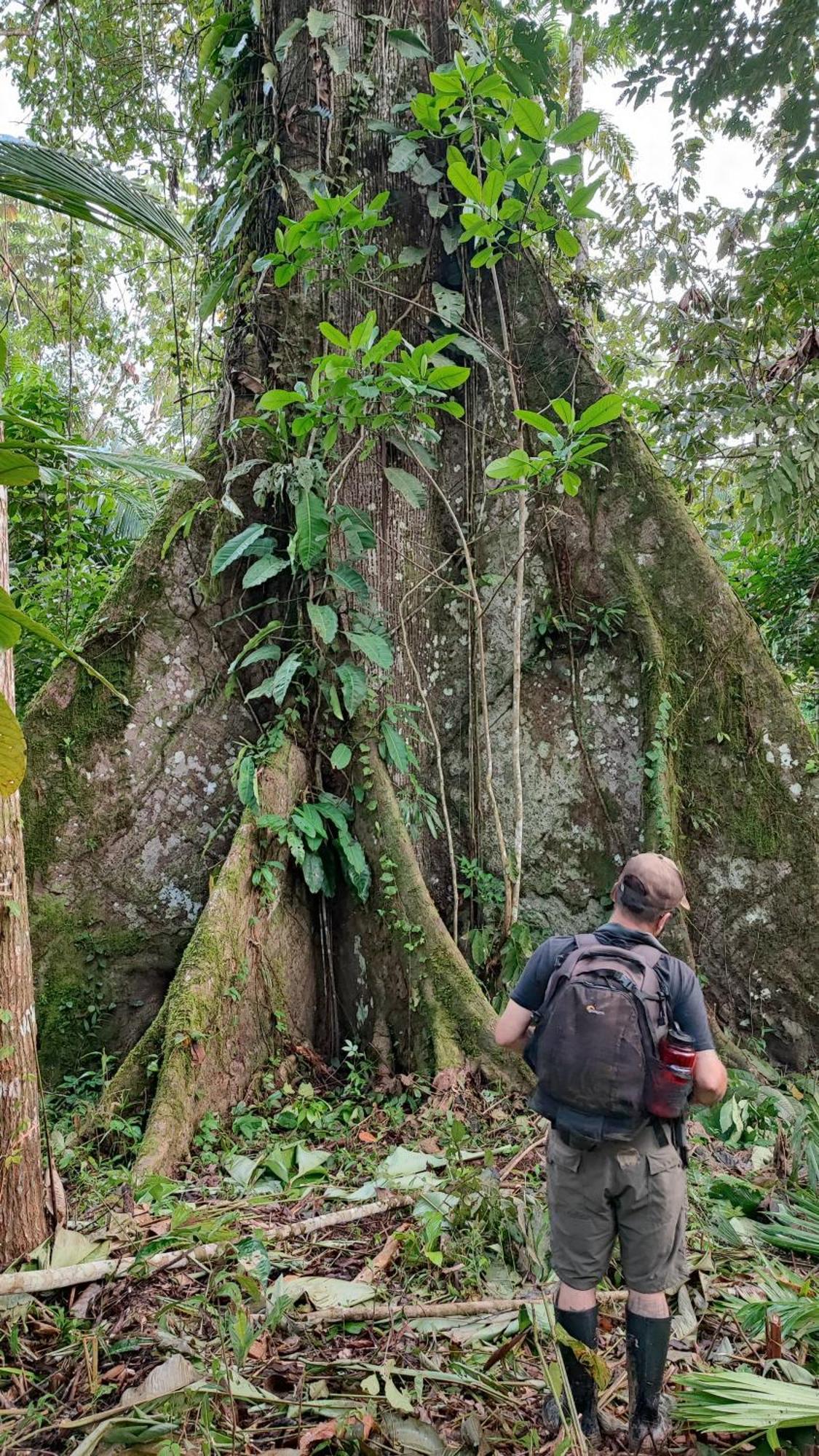 Hospedaje Y Tours Reina Arriera Amazonas Colombia Macedonia 外观 照片