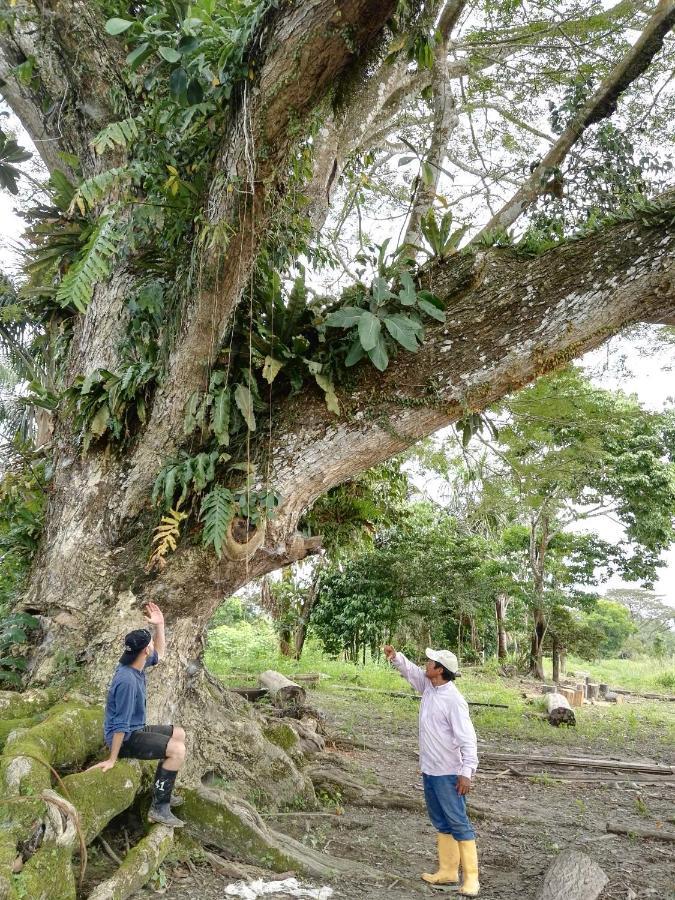 Hospedaje Y Tours Reina Arriera Amazonas Colombia Macedonia 外观 照片